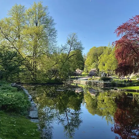 Magic Solheimsviken